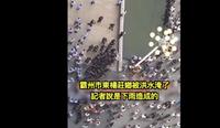 不满造假宣传 河北霸州灾民抗议 爆警民冲突(图/视频)
